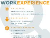 INFOGRAFICA WORK EXPERIENCE 2018