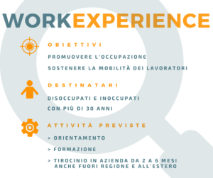 INFOGRAFICA WORK EXPERIENCE 2018